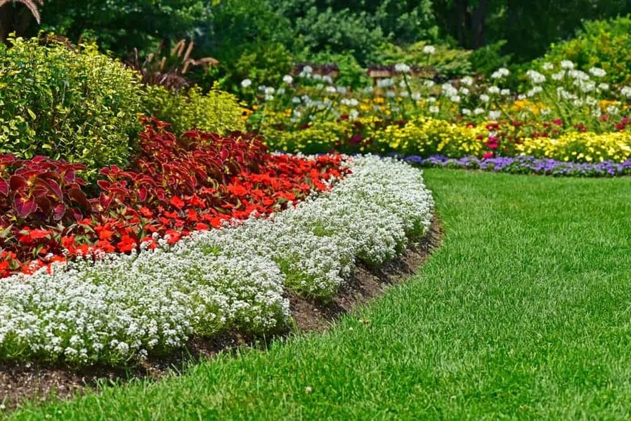 DECORATIVE GARDEN BORDERS