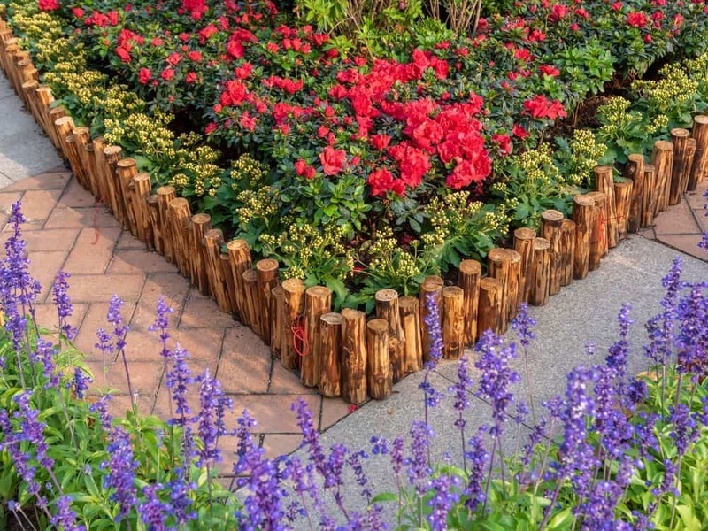 Landscape Border Design